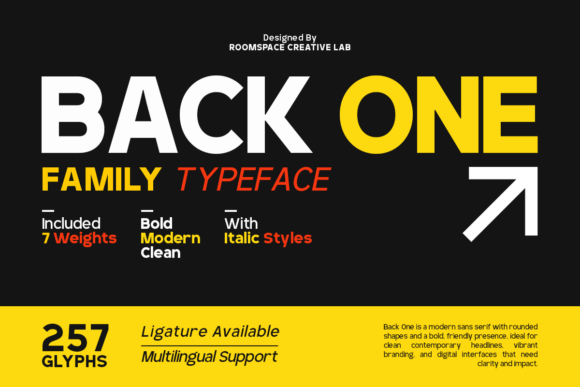 Back One: The Modern Sans Serif for Any Project
