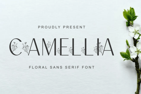 Camellia: Where Sans Serif Clarity Meets Floral Charm